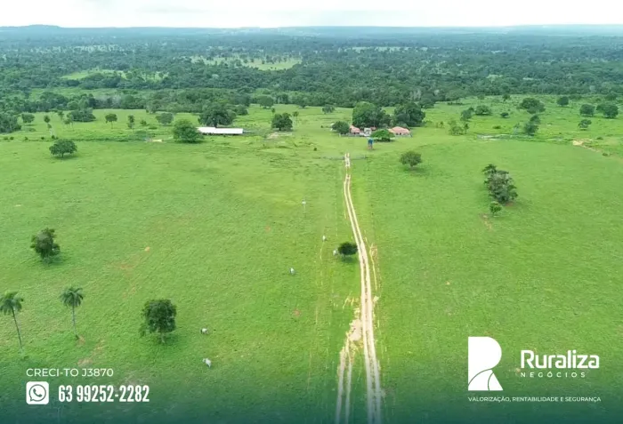 Fazenda a venda de 56 alqueires, 18km de Araguaína TO, excelente localização.