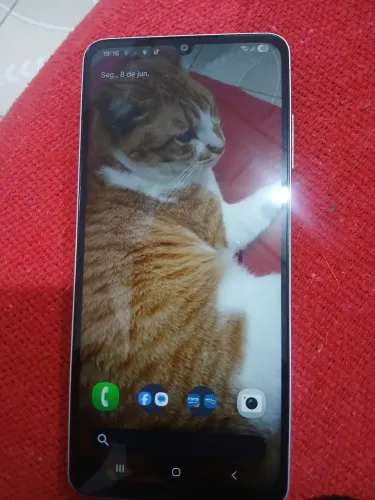 Celular samsung A06 novo