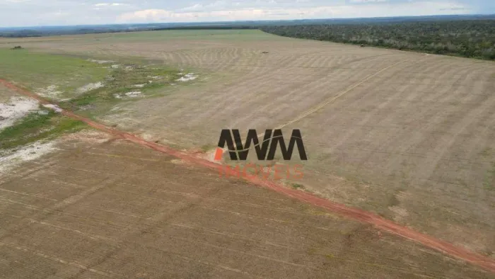 Fazenda à venda, 3.000,80 Hectares por R$ 92.000.000 - Setor Central - Araguaína/TO