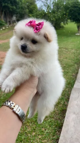 Lulu