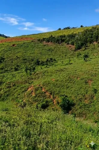 Fazenda 25 hectares por 459 mil