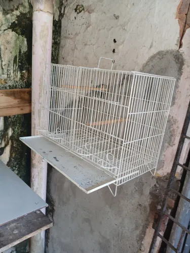 Gaiola para reprodução