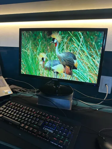 Monitor Gamer Samsung 24p, 75hz HDMI