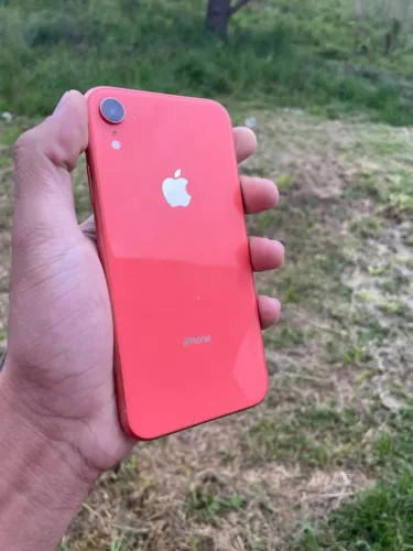 iPhone XR