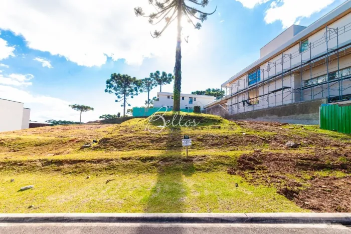 Terreno com 772 m² - Venda - Bairro Augusta - BELLOS IMOVEIS