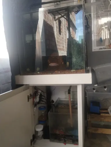Aquário 59x59x59 200 litros