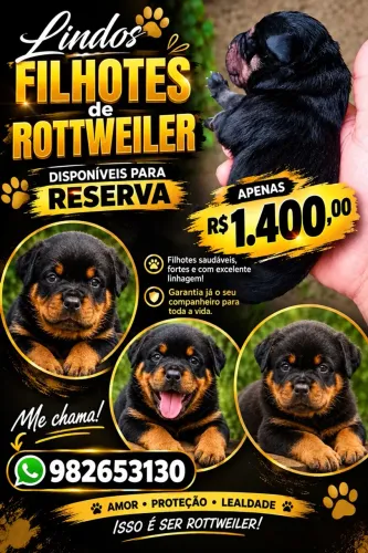 Rotweiller