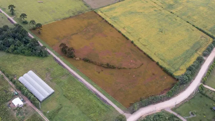 Chácara à Venda em São Luiz do Purunã com Espaço, Natureza e Potencial de Valorização