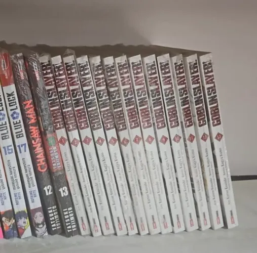 Mangá Goblin Slayer Lacrado!