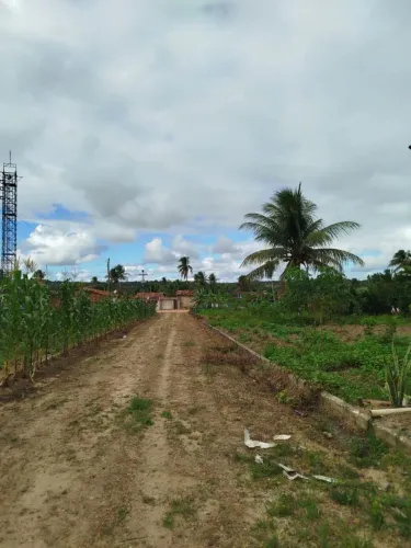 Vende_1se terreno Lotes no  Precinho  12.000 mil  em povoado moendas 