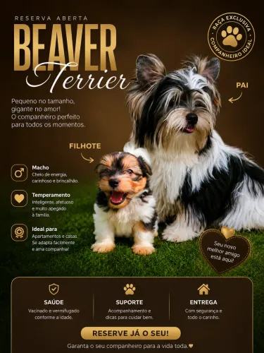 Beaver terrier