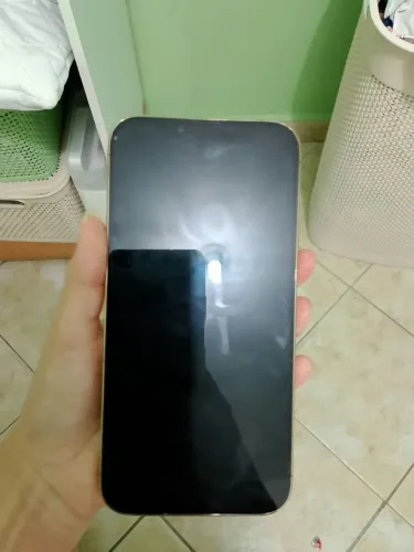 iPhone 13 Pro Max 256gb