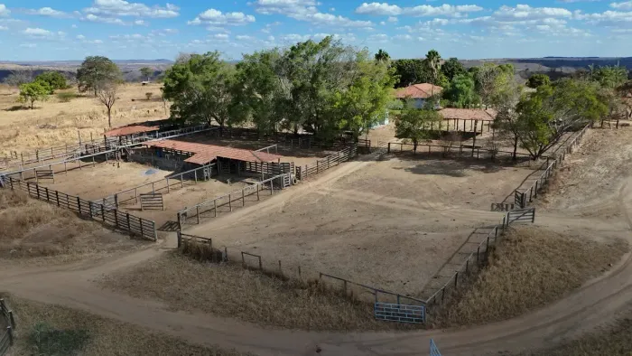 FAZENDA 1.700 HECTARES EM SÃO DOMINGOS-GO | 85 PASTOS | CONFINAMENTO 800 CABEÇAS | ENTRADA