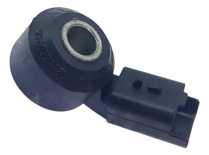 Sensor Detonação Peugeot 206 2006    199267