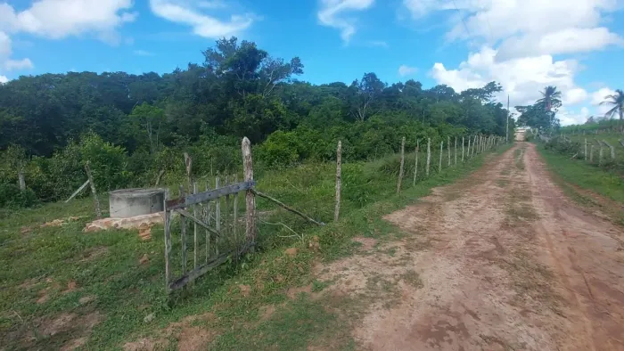 Terreno em Salgado com cisterna 
