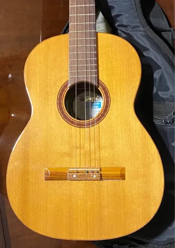 Violão Amazônia n.30 de 1975 - Ano de ouro da Di Giorgio