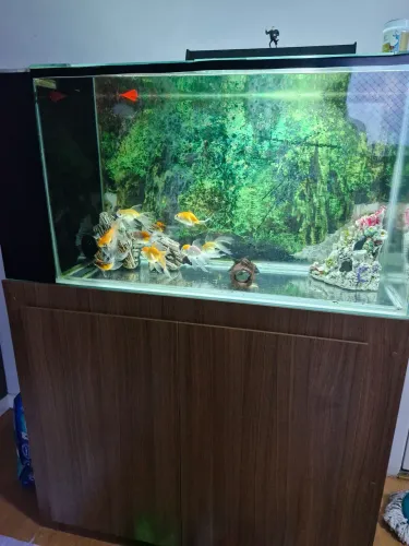 Aquário completo com marcenaria