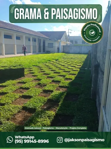 Grama Esmeralda Instalação e Venda 