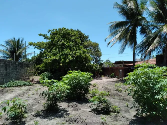Terreno à venda, 450 m² por R$ 100.000,00 - Barra de Gramame - João Pessoa/PB
