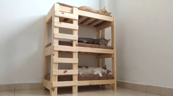 Treliche pet