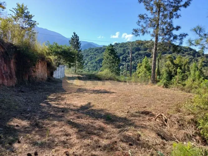 Terreno à venda, 360 m² por R$ 250.000,00 - Portal da Fazendinha - Caraguatatuba/SP