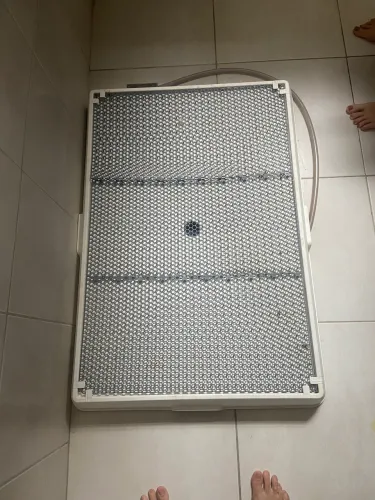 Banheiro inteligente para cachorro Wendy