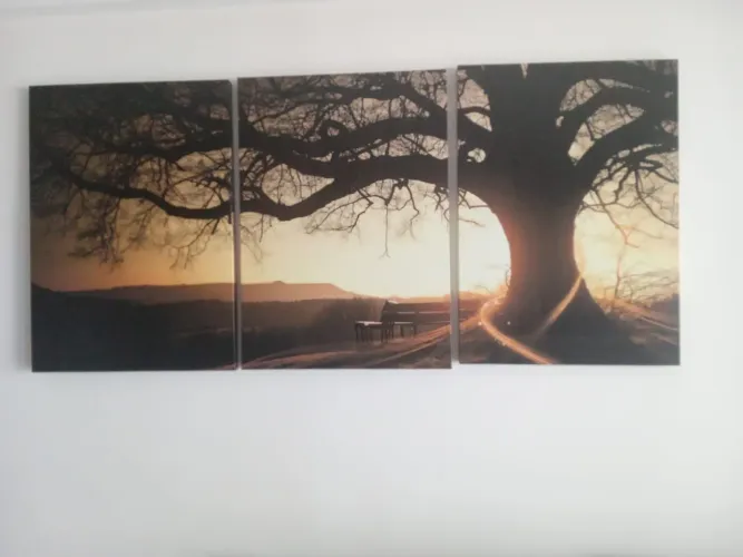 Quadro decorativo triplo - Árvore ao pôr do sol 