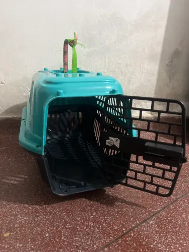Caixa de transporte para gato