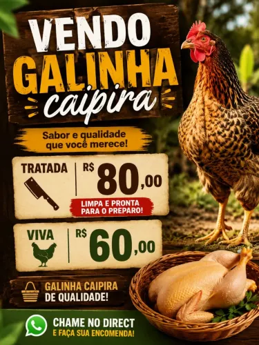Galinha caipira