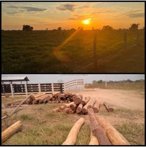 Vendo!!! Uma fazenda de 3.511 hectares região Pantanal MT 27 km do Mineirinho