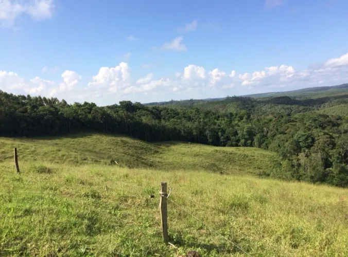 Sítio 9 alqueires a venda . Aceito permuta até 50%