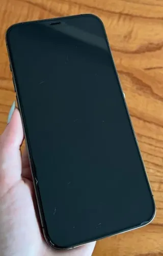 iPhone 11 Pro Max 256gb - Tudo funcionando! - Sem marcas!