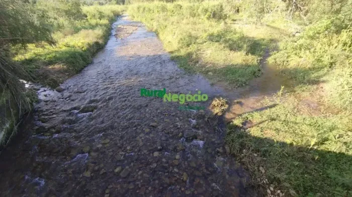 TERRENO DE 20.000 MTS NO RIBEIRÃO GRANDE EM PINDAMONHANGABA-SP