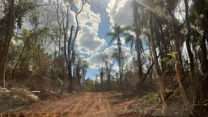 Natureza ao redor e espaço para construir o que você sempre imaginou.