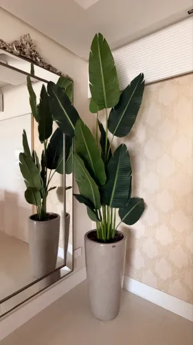 Vasos decorativo Fendi com planta ornamental