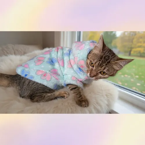 Camisa de fleece pet