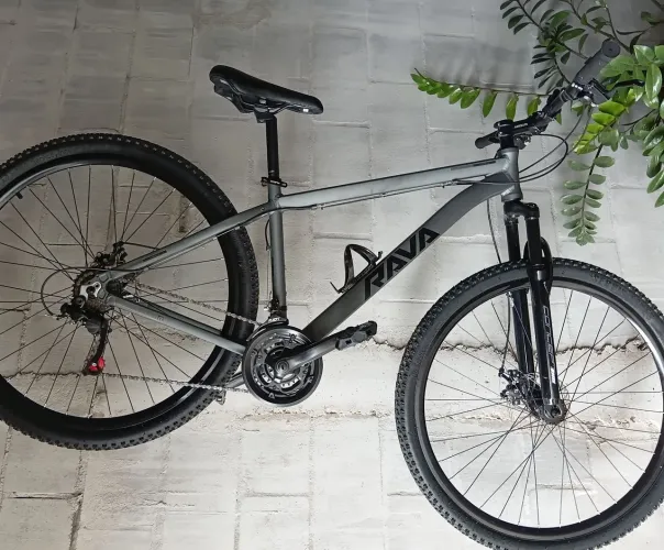 Bicicleta Rava aro 29