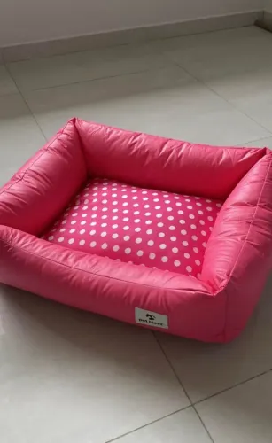 Cama PET