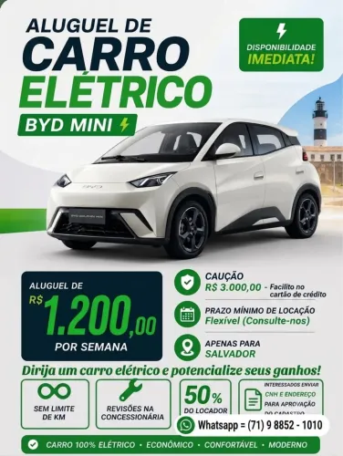 BYD Dolphin Mini (Elétrico) 2025