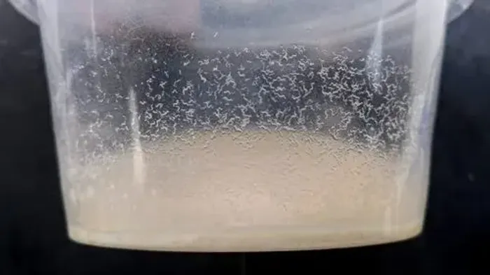 Start micro verme da aveia