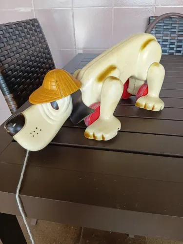 Miniatura cachorro xereta estrela