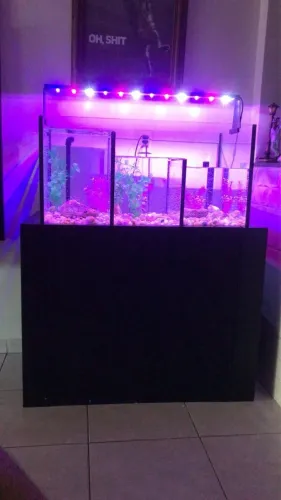 Aquário 400L