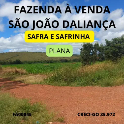 Fazenda São João da Aliança dupla aptidão plana safra e safrinha excelente localização