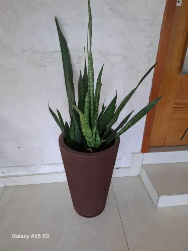 Vaso Coluna Grafiato