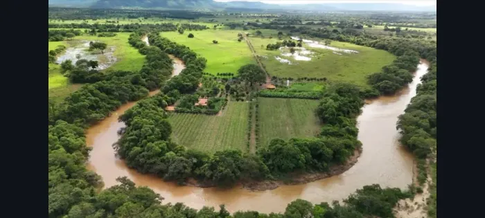 Fazenda à venda em Buritis-MG