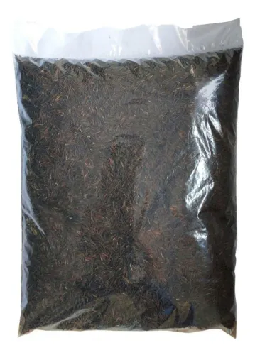 Casca De Arroz Carbonizada Para Plantio Suculentas Orquídeas e Carnívoras 200g