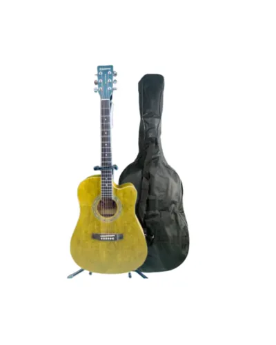 Kit Violão Eletroacústico Aço Waldman e Capa
