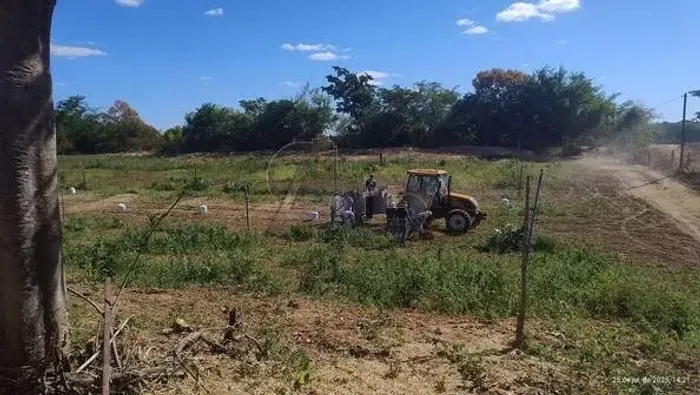 FAZENDA À VENDA - Beira do Rio São Francisco, Matias Cardoso/MG