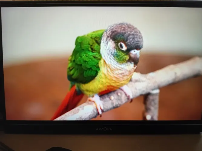 Monitor Arzopa G1 144Hz (HDR e IPS)