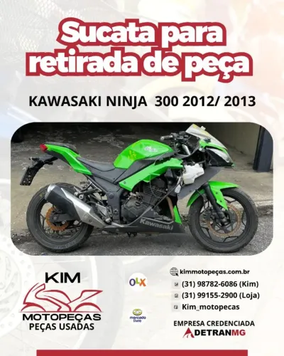Kawasaki Ninja 300 2012/2013 ( Para Retirada de Peças)